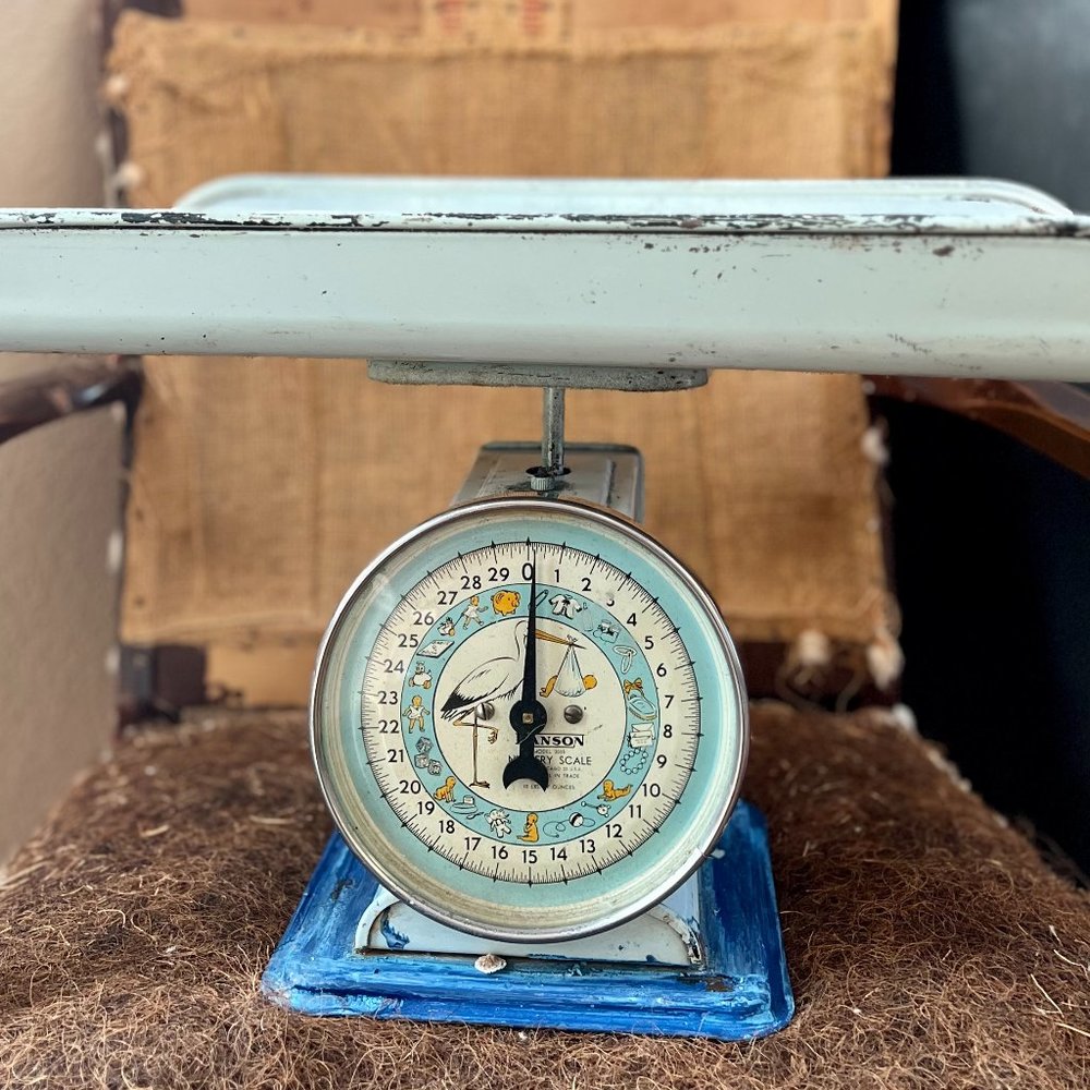 Vintage Hanson Nursery Scale
